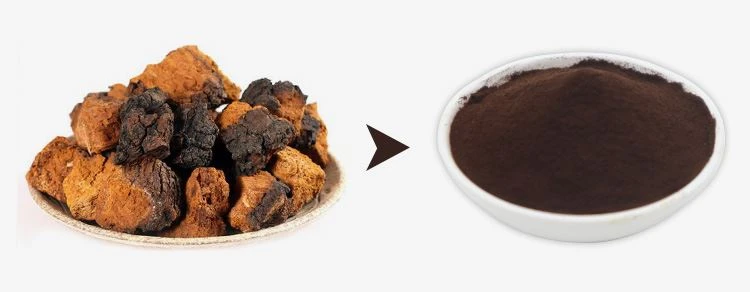 Chaga Extract Powder 1
