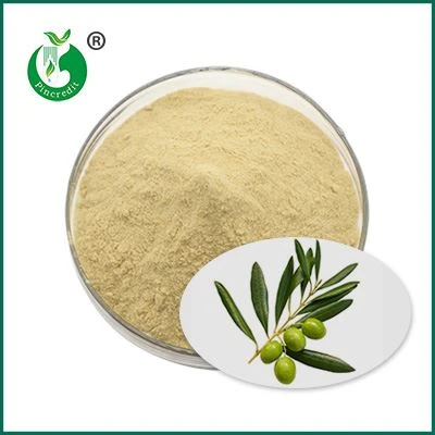 Oleuropeinpulver