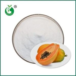 Bio-Papainpulver