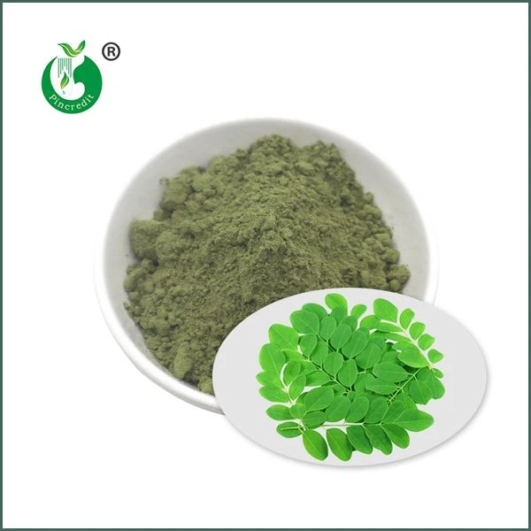 Bio-Moringa-Pulver