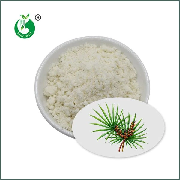 Sägepalmetto Extrakt Pulver