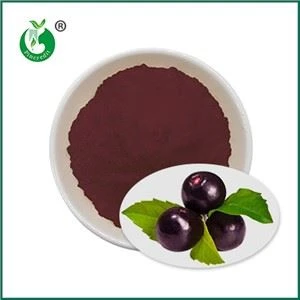 Acai-Beerensaftpulver