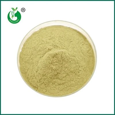 Vitamin K2 Powder Bulk Vitamin K2 Powder Bulk