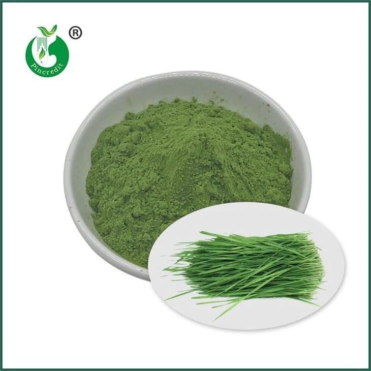 Weizengrassaftpulver