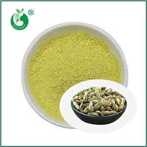 Großhandel Kaempferol Pulver