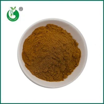 Pincredit Hot Sale Bio-Pilzextrakt-Pulver