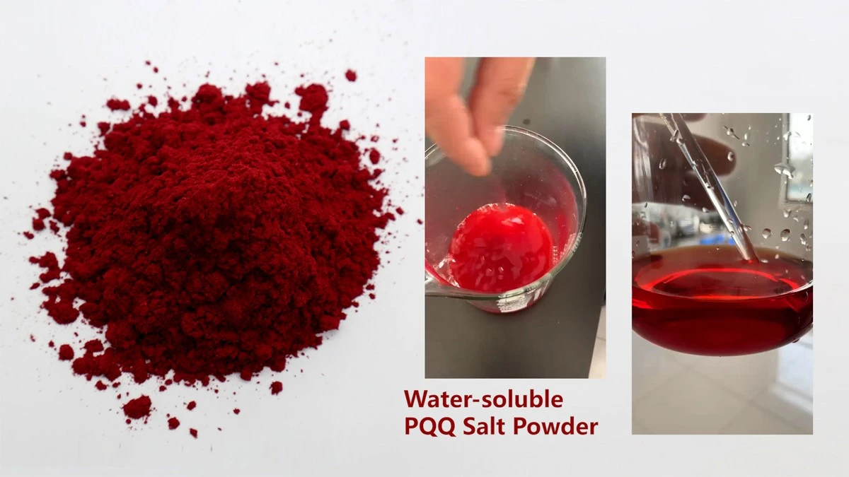 Water Soluble PQQ Salt