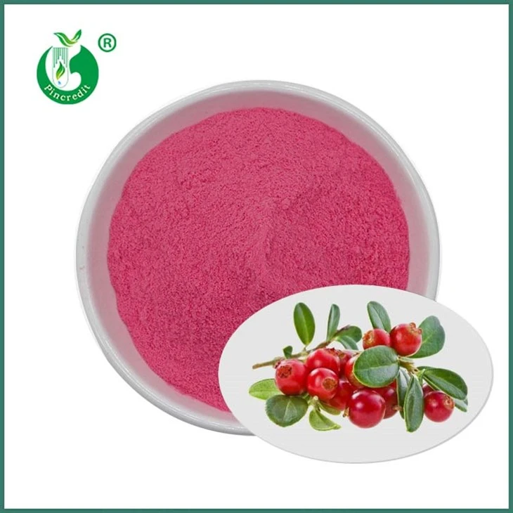 Cranberry Saft Pulver