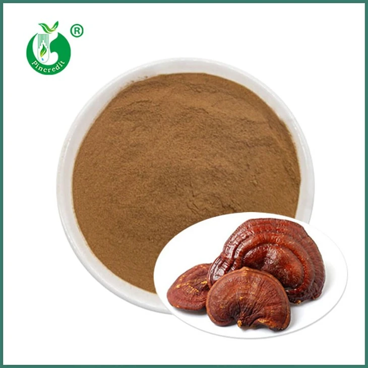 Reishi Extrakt Pulver