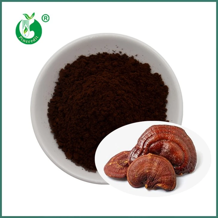 Reishi Sporenpulver