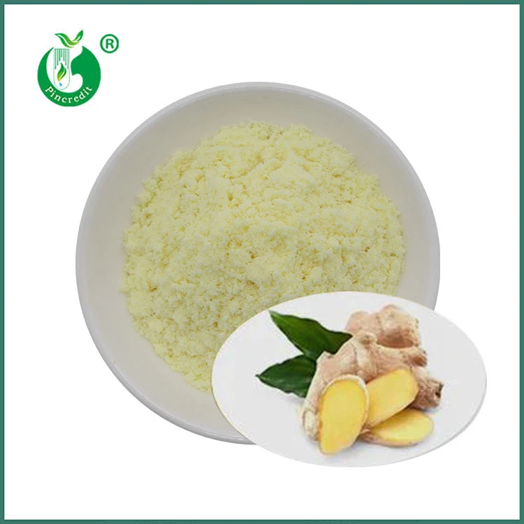 Gingerol-Pulver